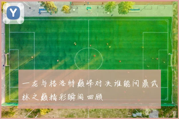 一龙与格洛特巅峰对决谁能问鼎武林之巅精彩瞬间回顾